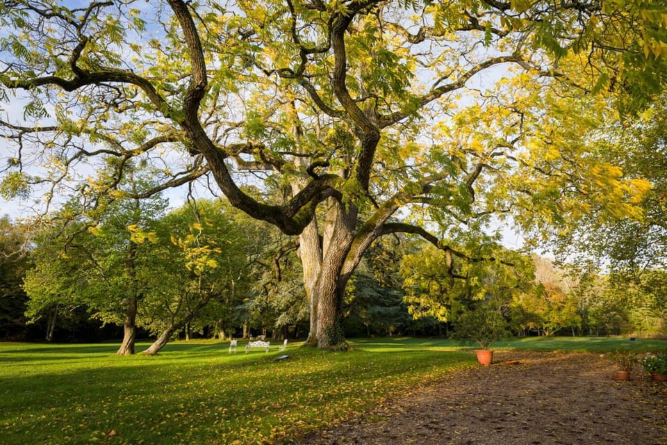 Natural landscape, Garden view
