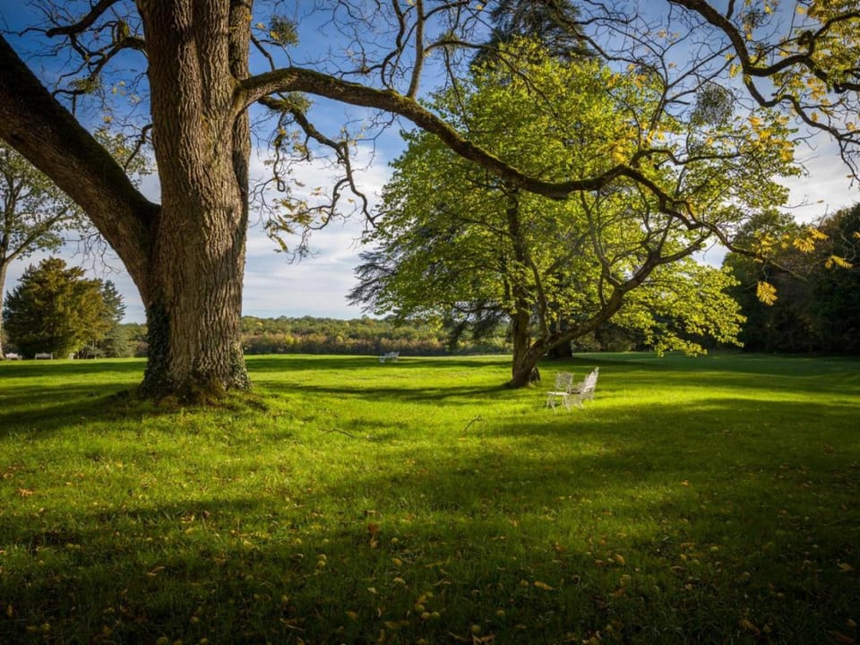 Natural landscape, Garden view