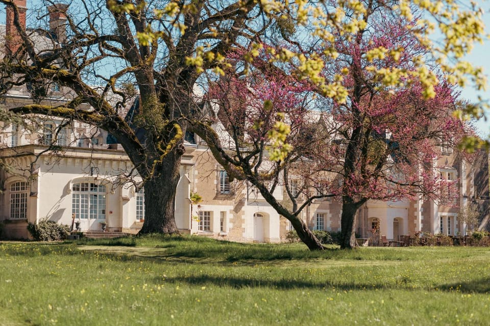 Natural landscape, Garden view