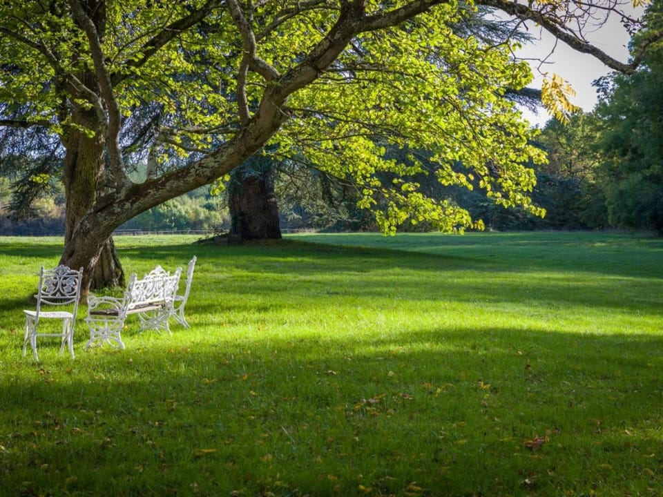 Natural landscape, Garden view