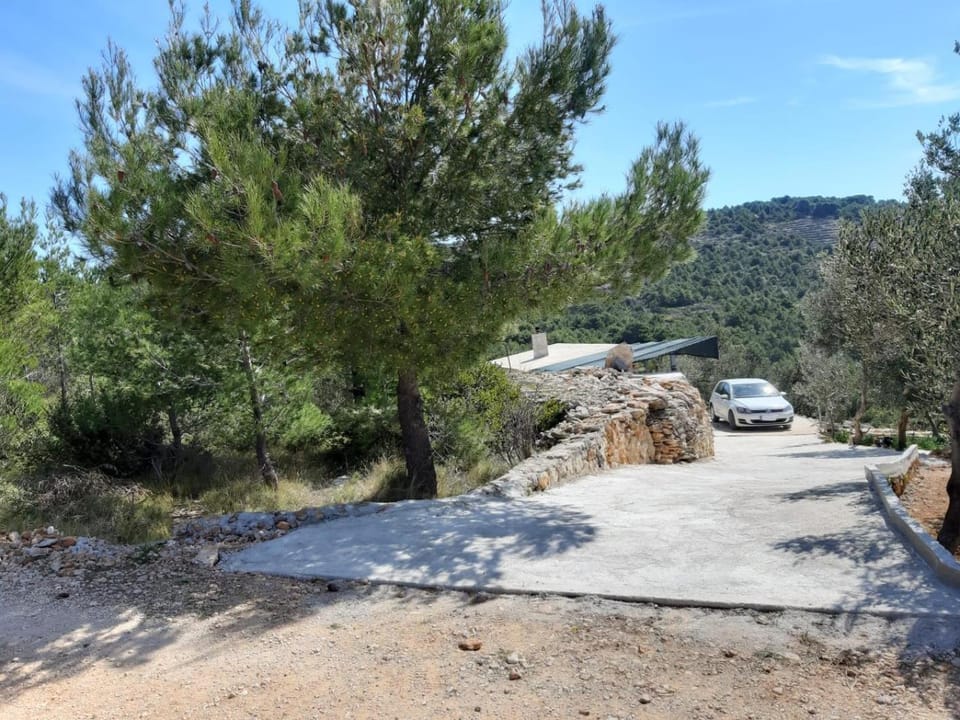 Other, Area and facilities