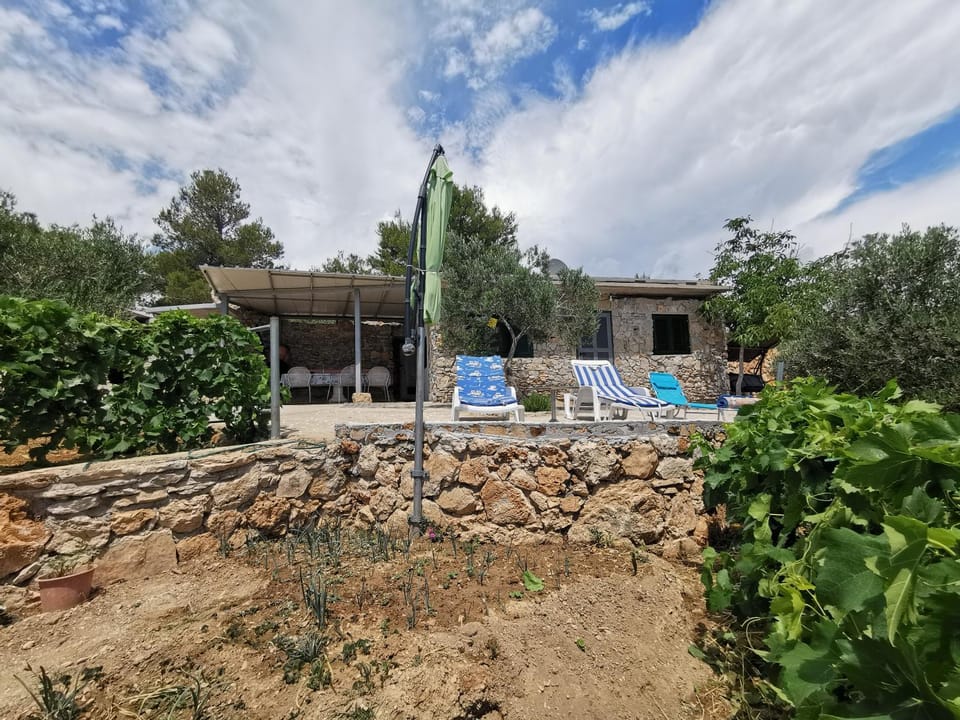 Patio, Garden view