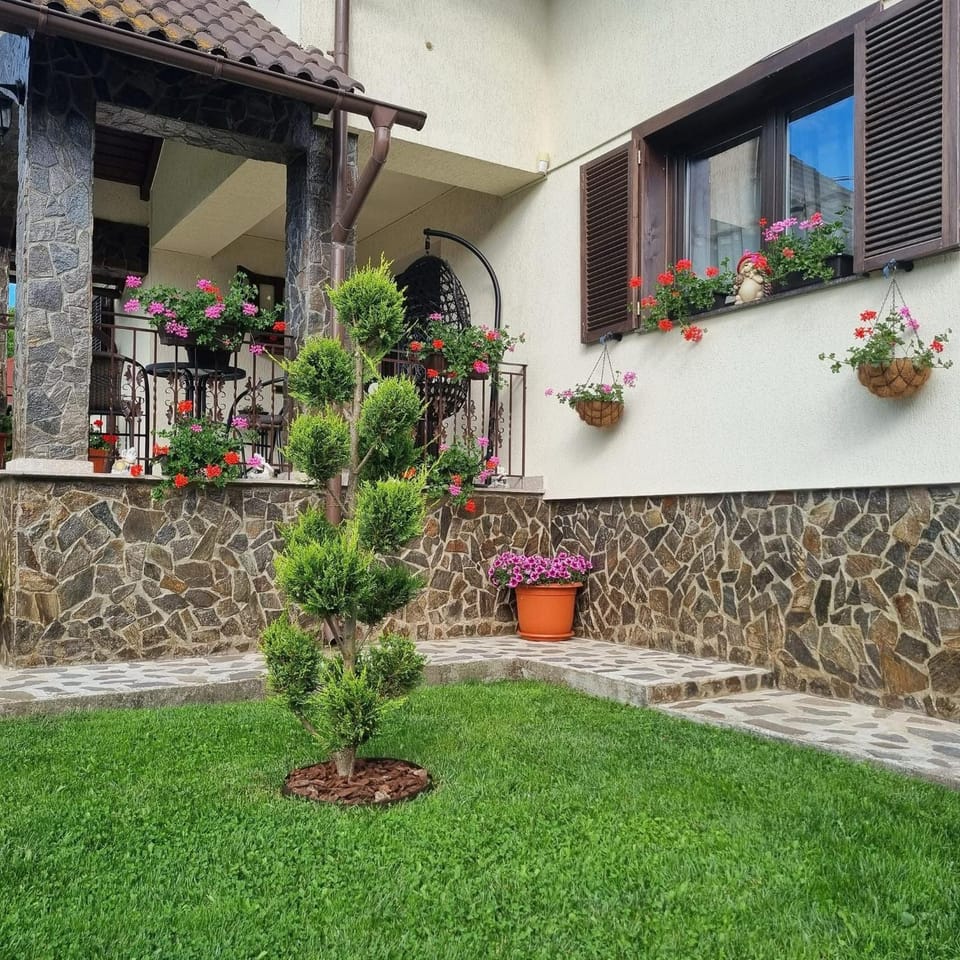 Pensiunea Select Bed and Breakfast in Romania