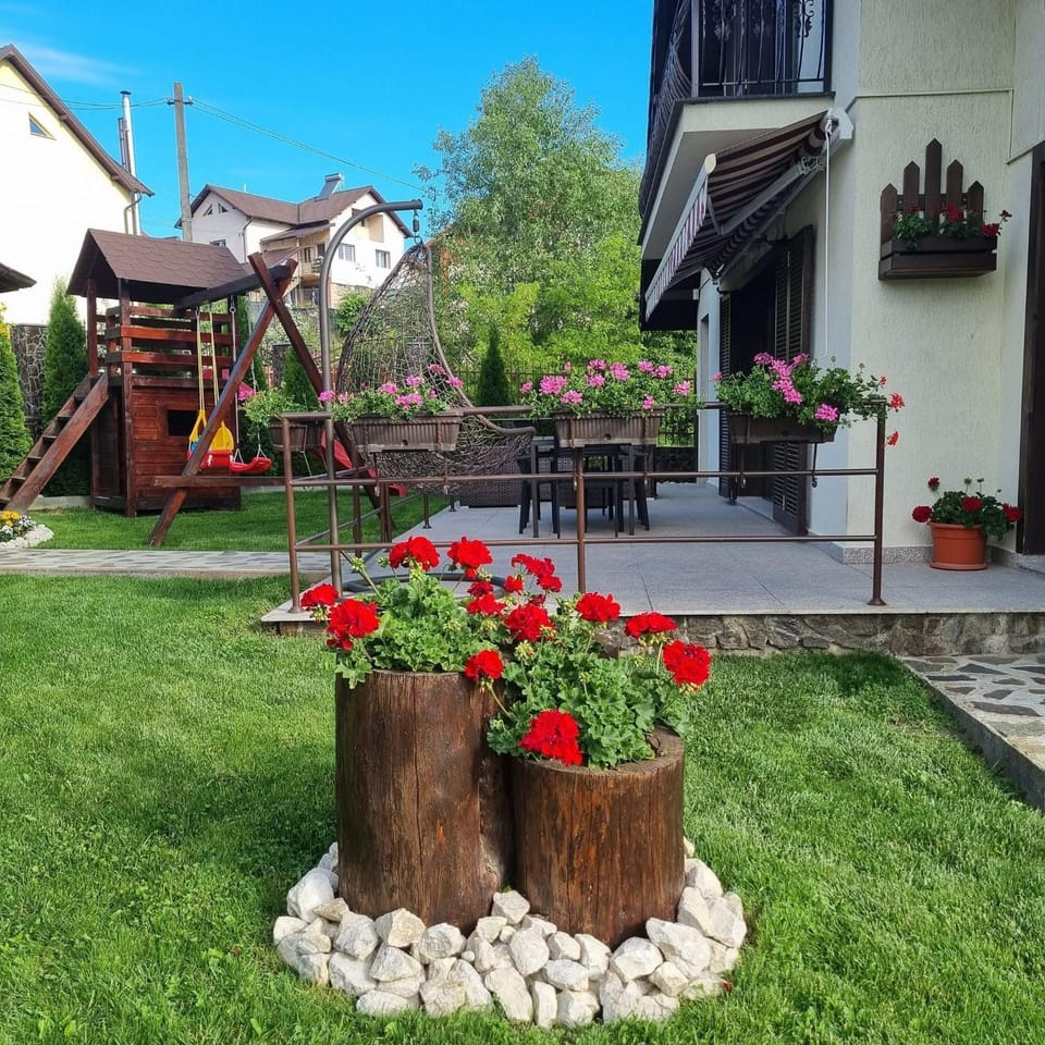 Pensiunea Select Bed and Breakfast in Romania