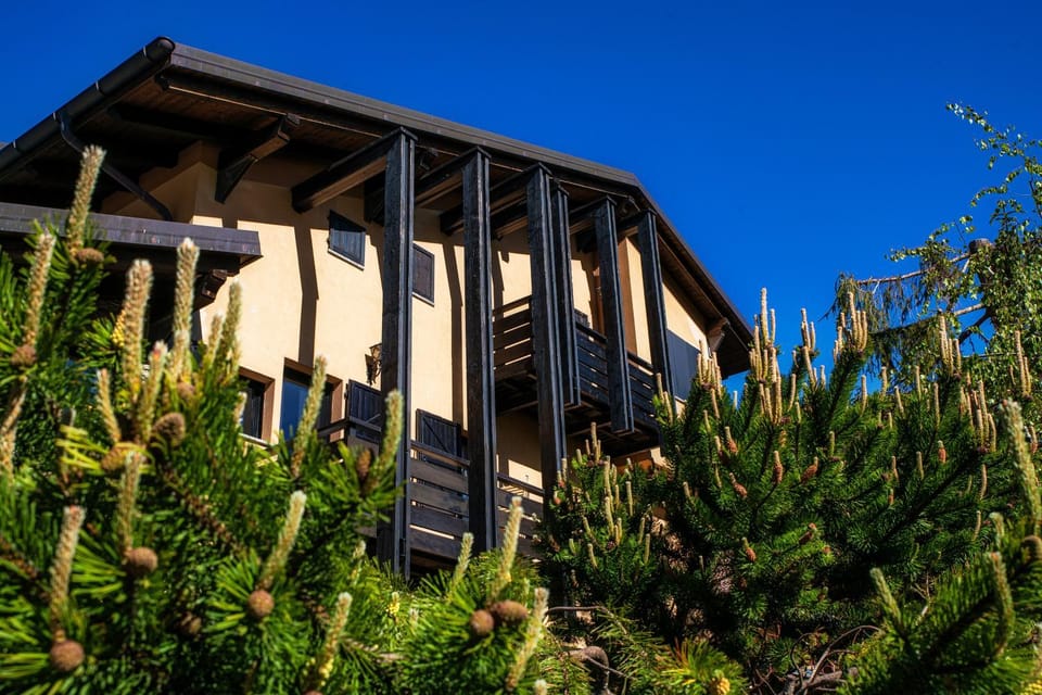 Property building, Spring, Day, Garden