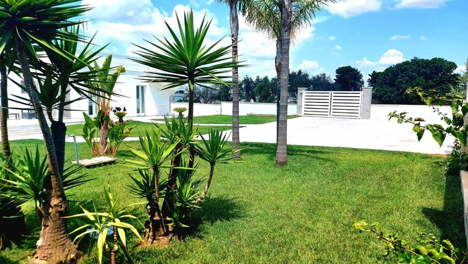 Garden, Garden, Garden view