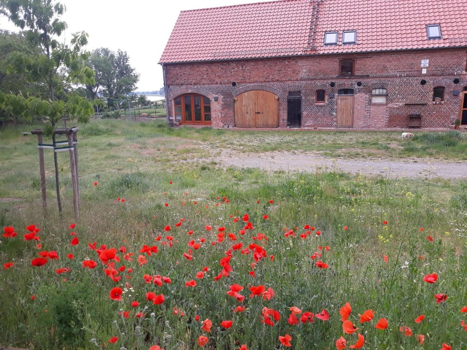 Property building, Garden