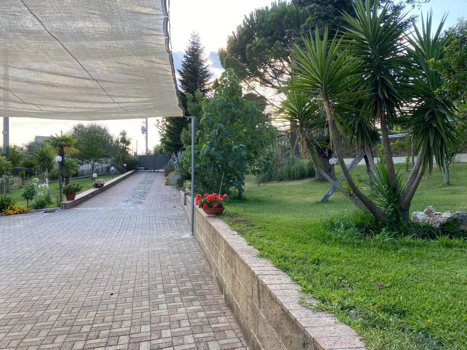Natural landscape, Garden, Garden view