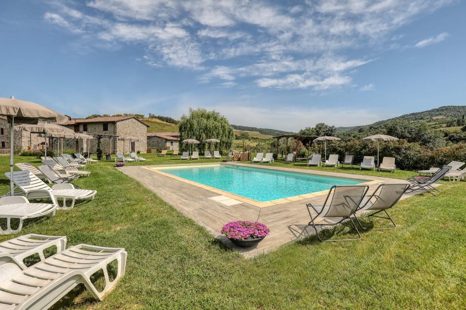 Garden, Swimming pool, sunbed