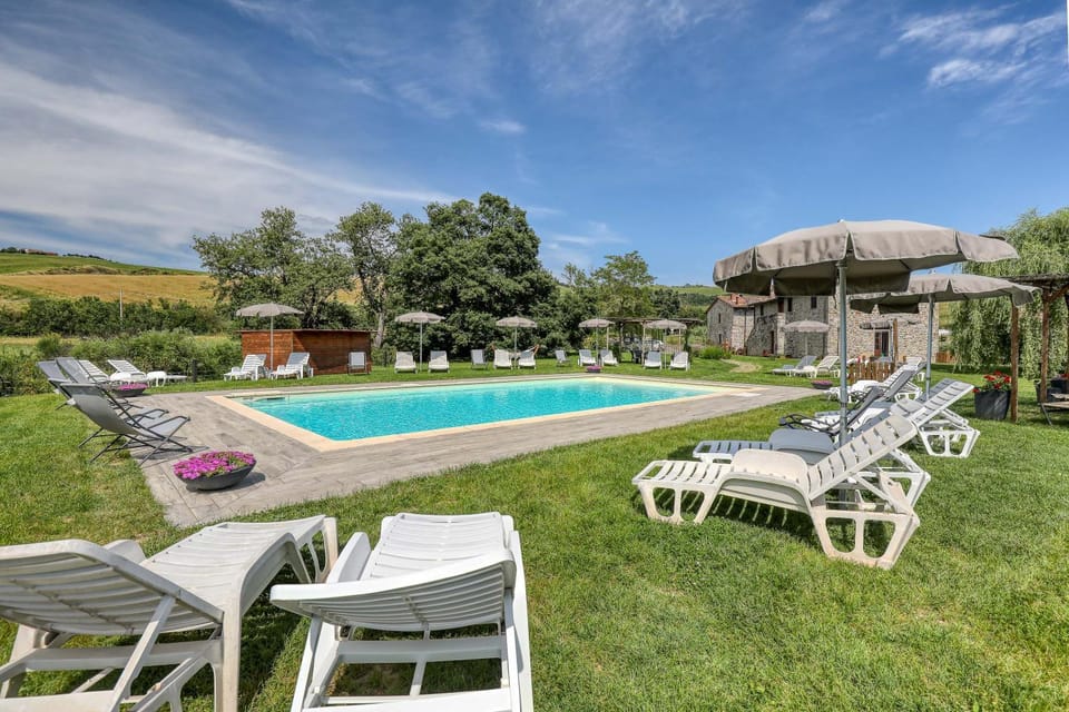 Garden, Pool view, Swimming pool, sunbed