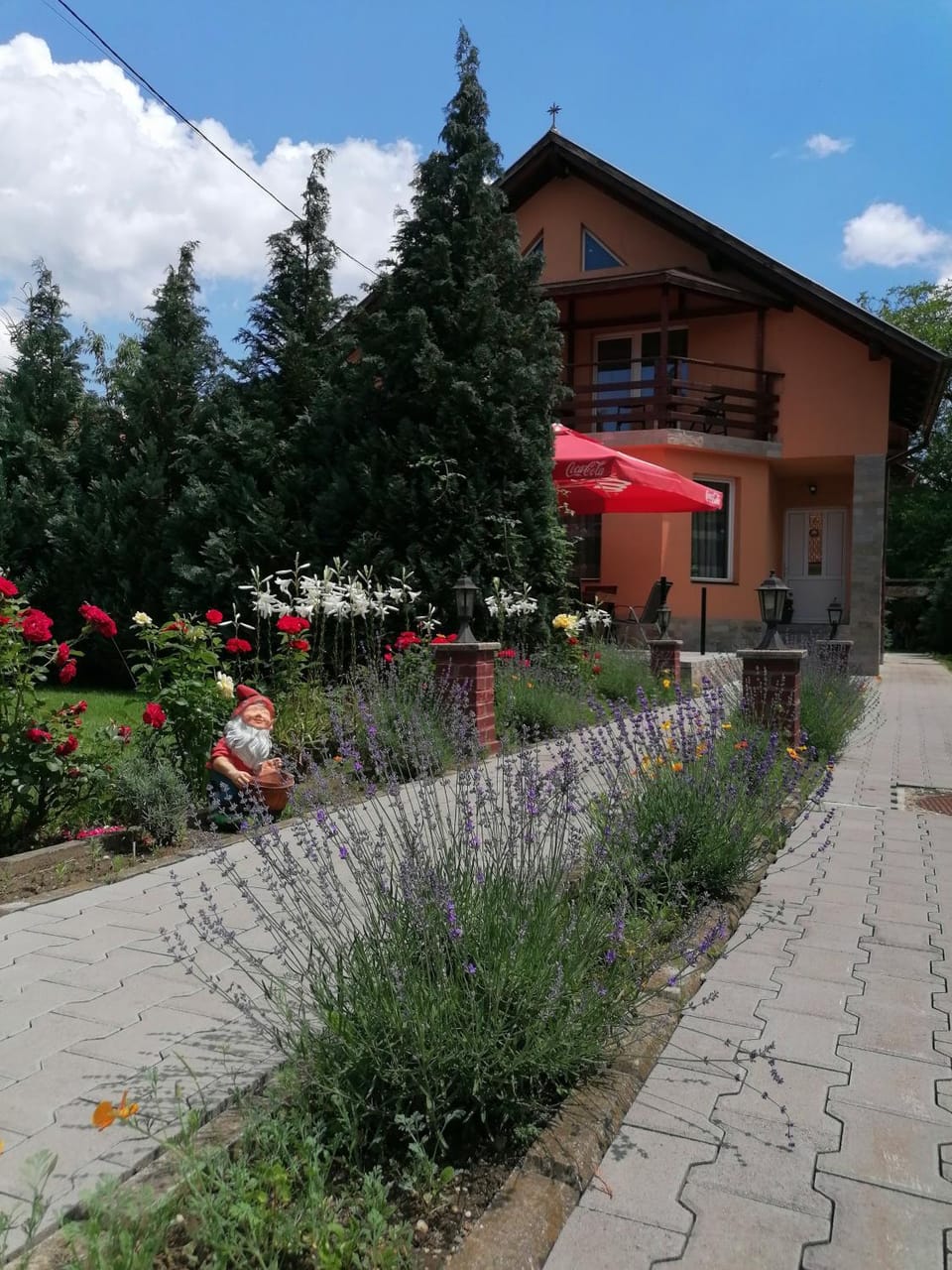 Pensiunea Cold Mountains Bed and Breakfast in Brașov County
