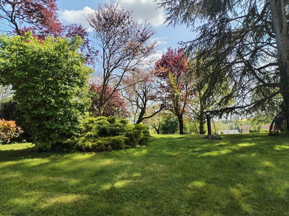 Garden, Garden, Garden view