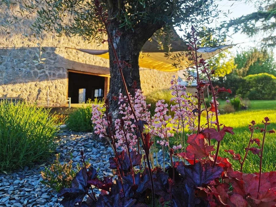 Garden, Garden view