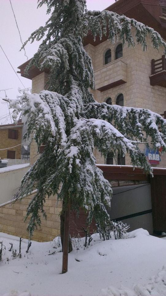 Property building, Winter