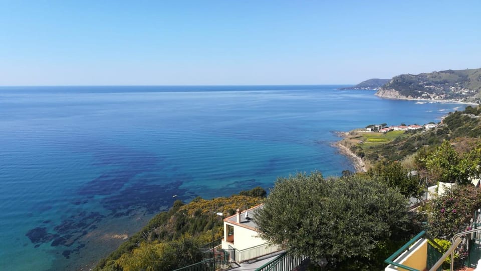 Spring, On site, Sea view