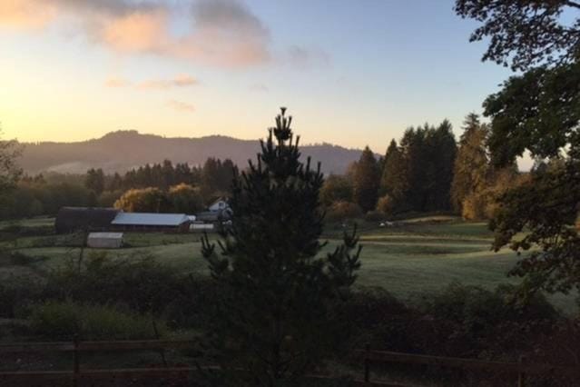 Vancouver WA Beautiful Apartment Apartment in Washington