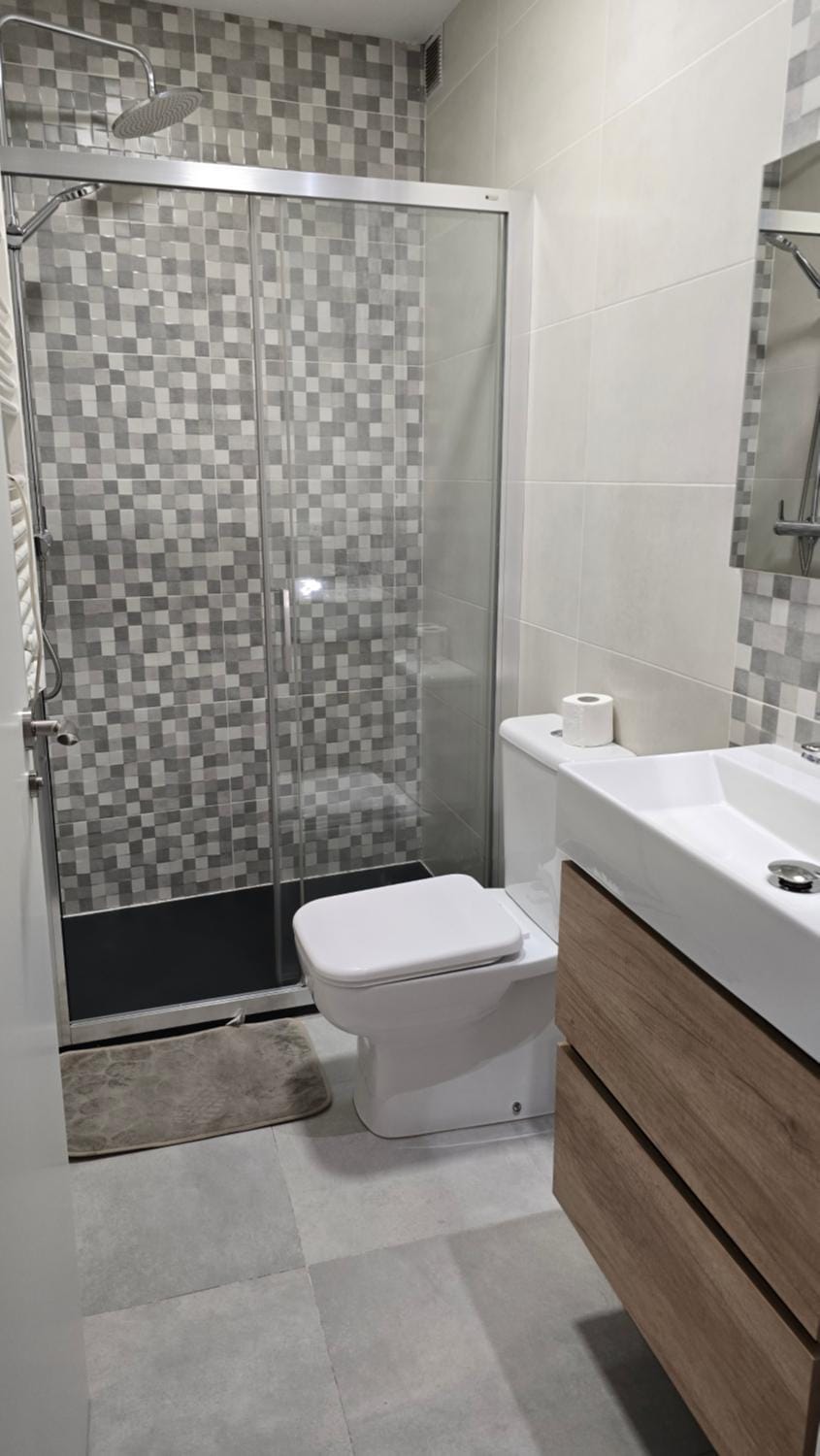 Loft Casco Viejo 3 Apartment in Ourense
