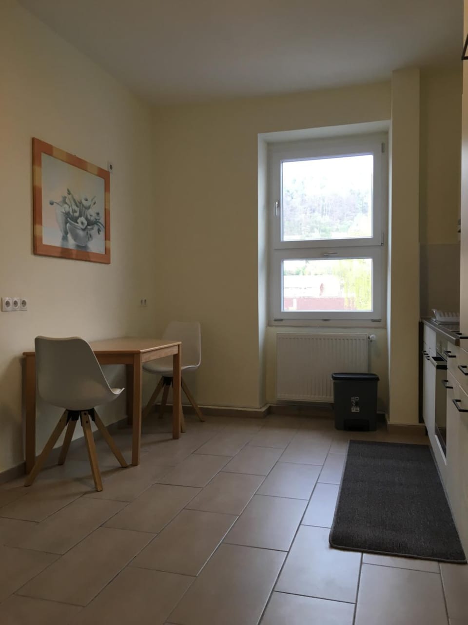 WALDSHUT SUITE IN ZENTRUM Apartment in Baden-Württemberg