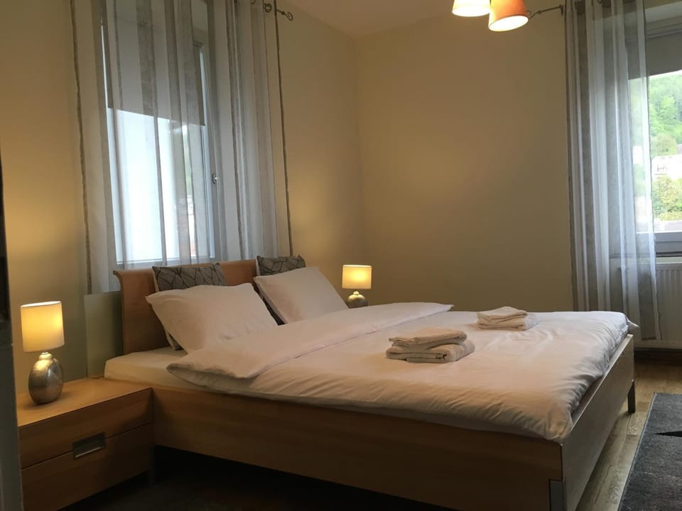 WALDSHUT SUITE IN ZENTRUM Apartment in Baden-Württemberg