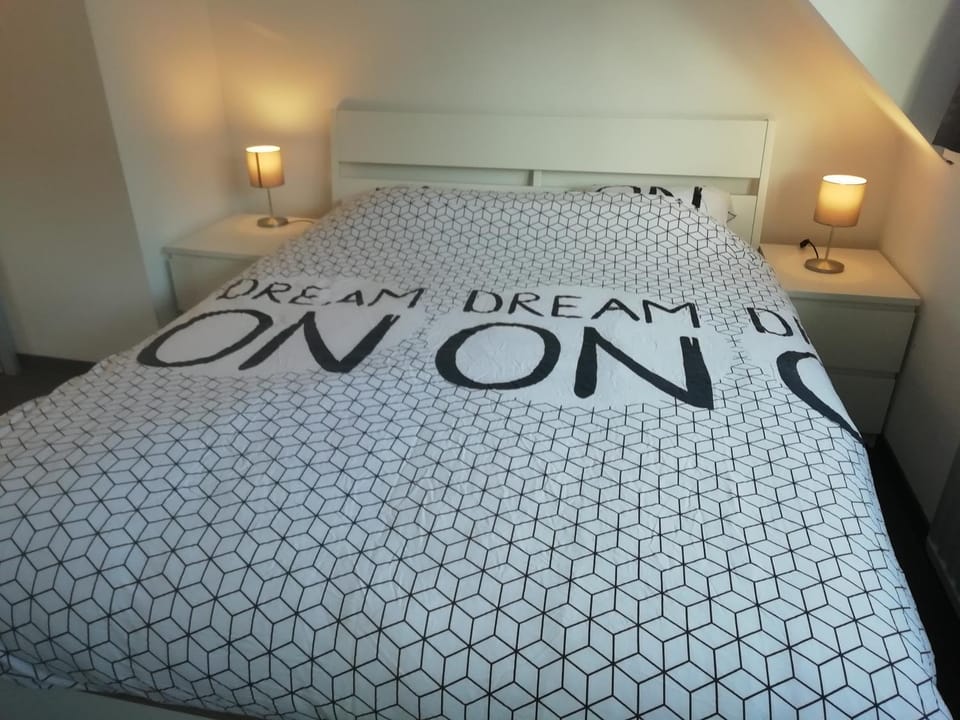 Seagull's nest Apartment in Ostend