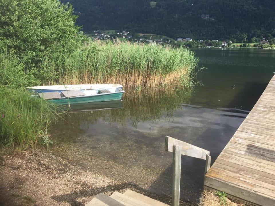 Lake view
