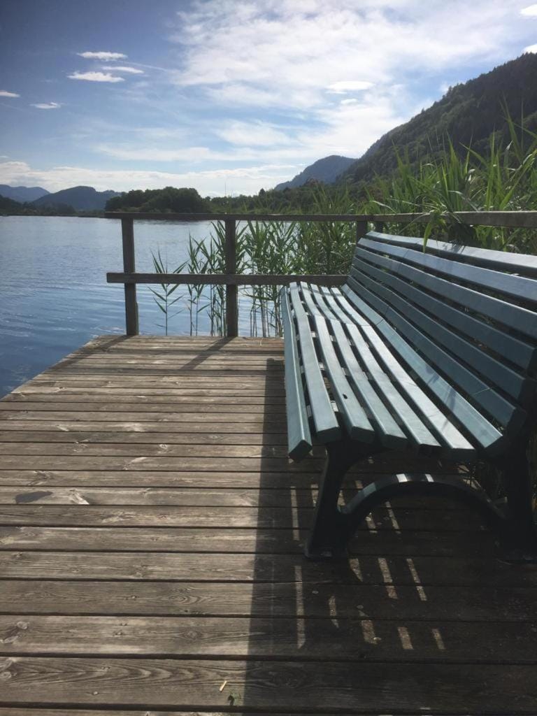 Lake view