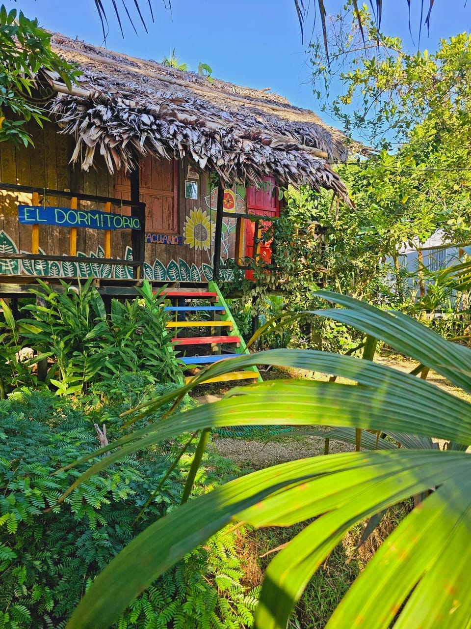 Hakuna Matata Ecolodge Bed and Breakfast in Choco, Colombia