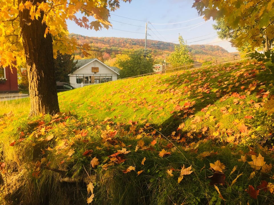 Natural landscape