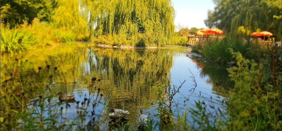 The Black Swan Inn in Warrington