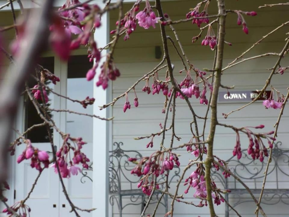 Gowan Brae Cottage - NEW! House in Katoomba