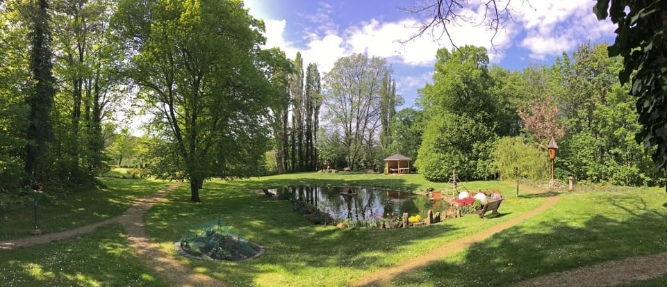 Natural landscape, Garden