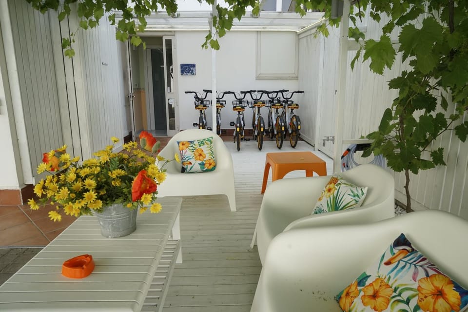 Patio, Garden