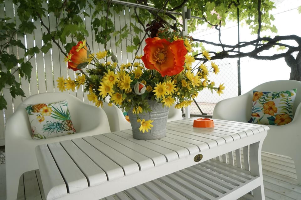 Patio, Garden