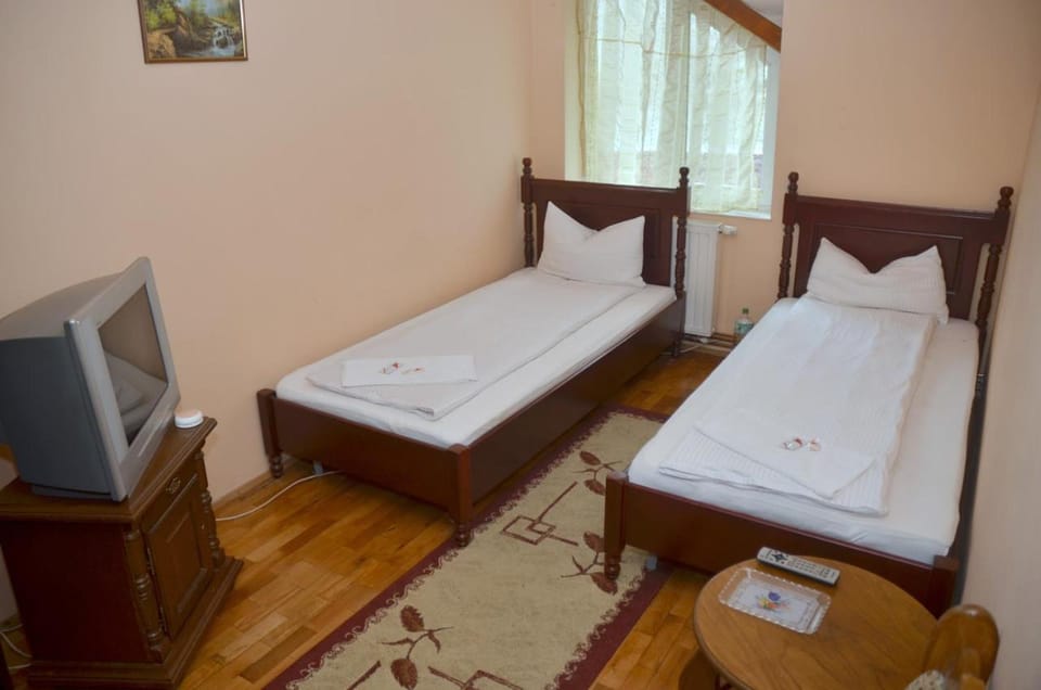Pensiunea La Palaguta Bed and Breakfast in Romania