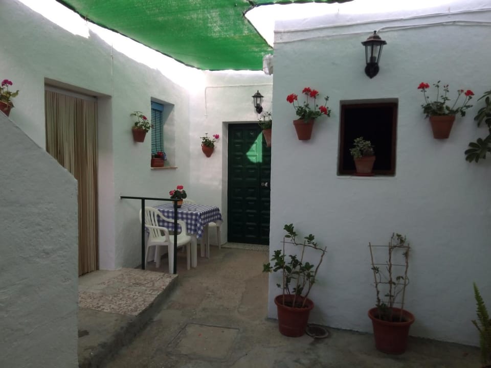 Patio, Facade/entrance