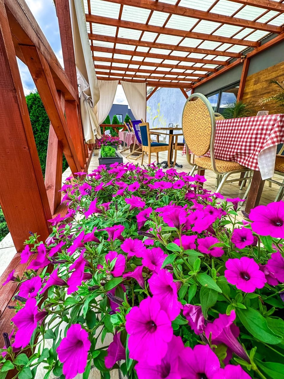 Patio, Spring, Day, Garden, Balcony/Terrace, Dining area, Garden view