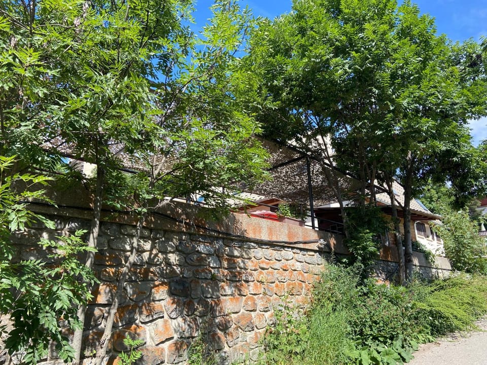 Property building, Restaurant/places to eat, Natural landscape, Breakfast