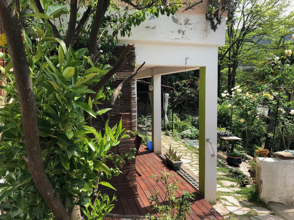 Patio, Garden