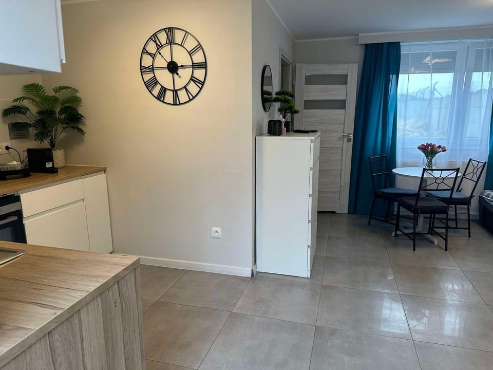 Kitchen or kitchenette, Dining area, oven, stove