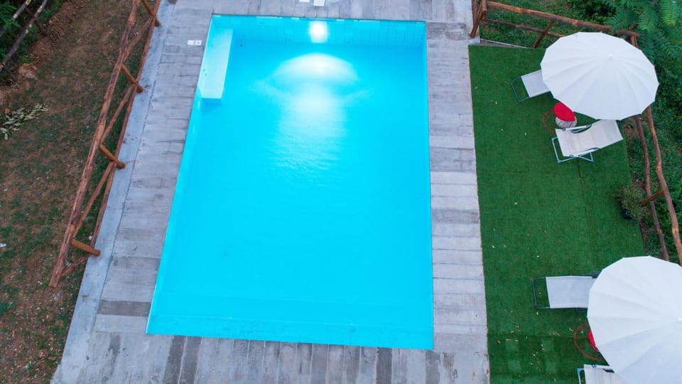 Day, Pool view, Swimming pool, Swimming pool, sunbed