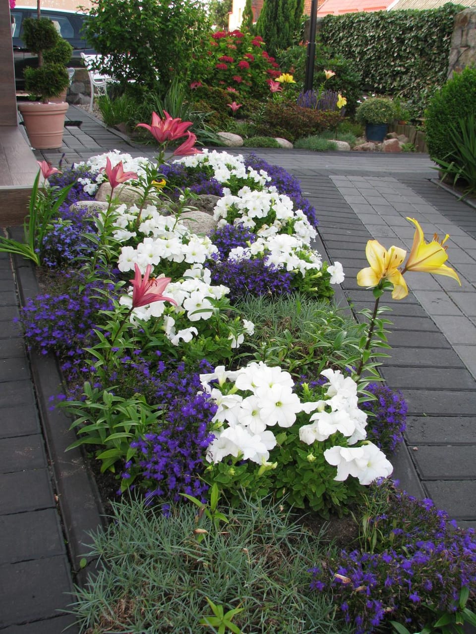 Garden, Garden view