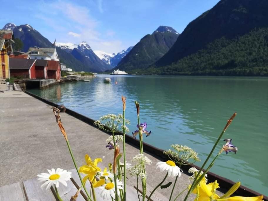 Sogndal ski- and mountain cabin Cabin in Vestland