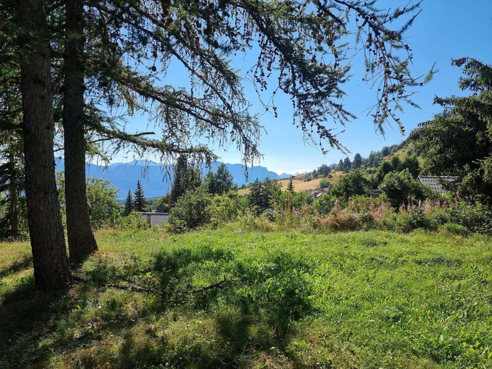 Chalet spacieux 10 pers, 4 chambres, jardin, cheminée, animaux OK, ménage fin séjour option - FR-1-393-38 Chalet in Provence-Alpes-Côte d'Azur