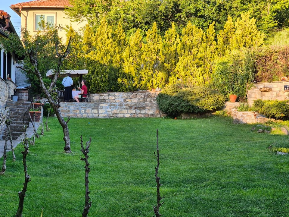 Day, Garden, Garden view