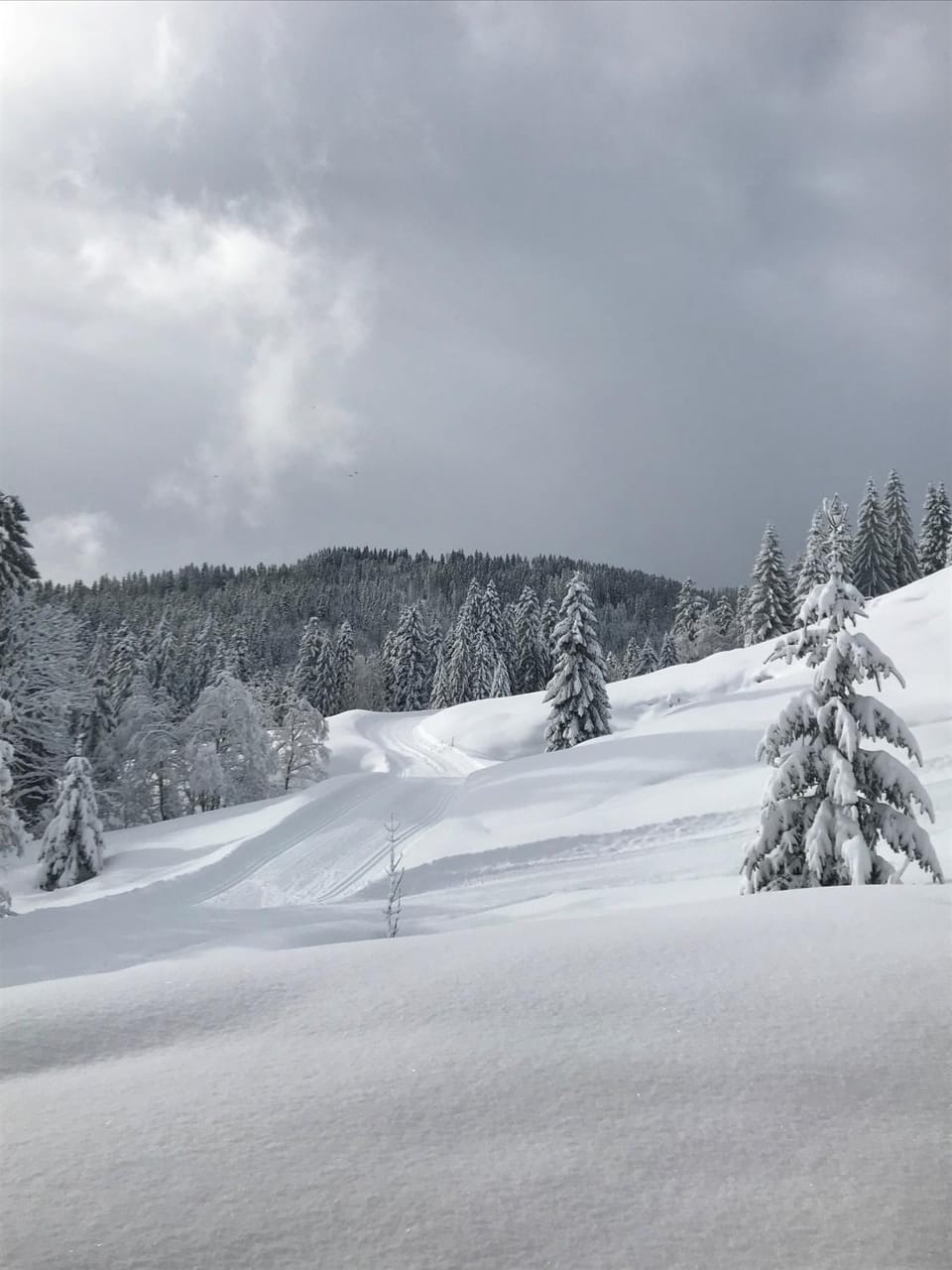 Natural landscape, Winter, Hiking, Location