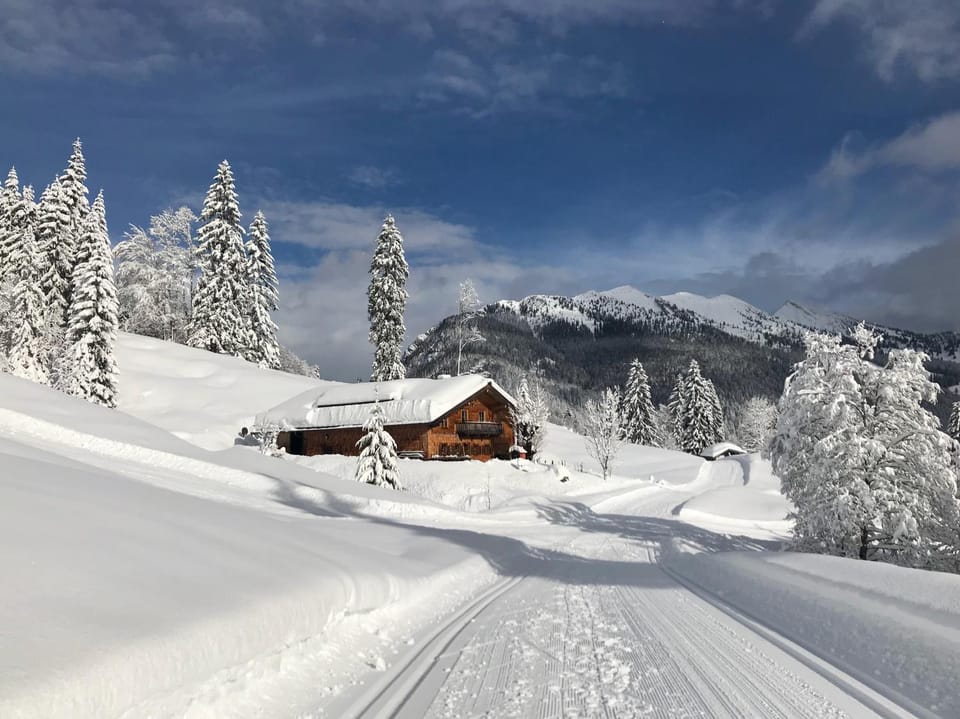 Property building, Neighbourhood, Natural landscape, Winter, Ski School, Skiing, Hiking