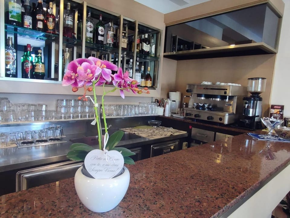 Lounge or bar