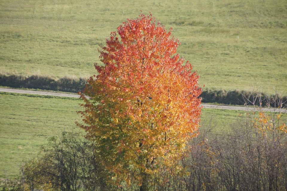 Autumn