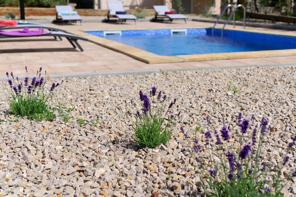Property building, Garden, Swimming pool, Swimming pool
