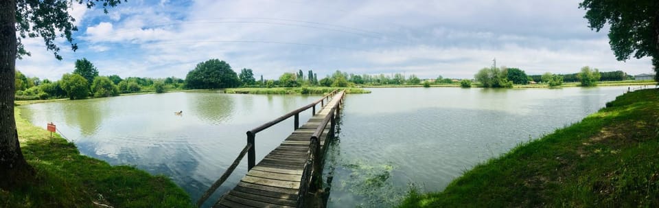 Fishing, Lake view